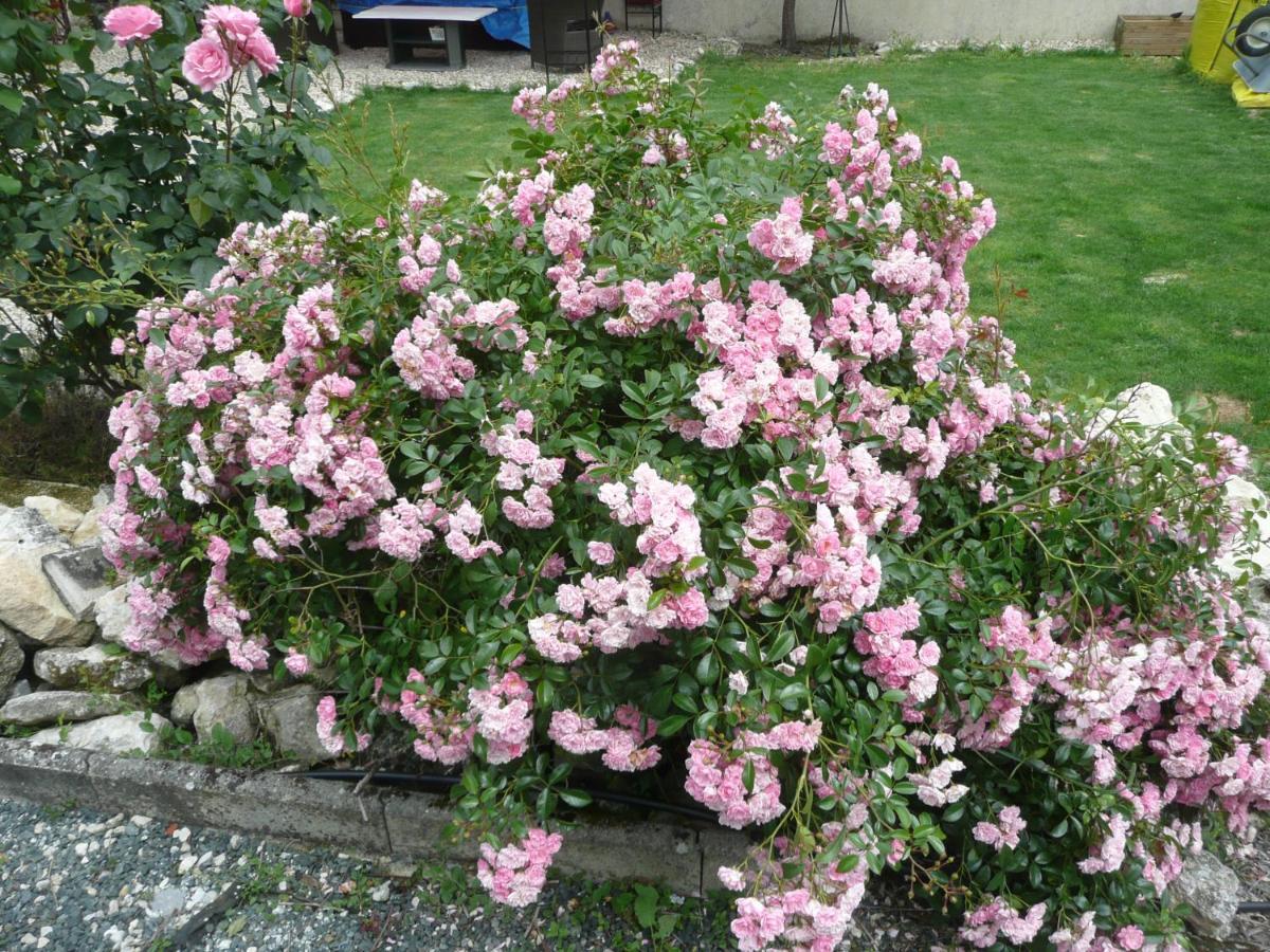 Maison Blanc Bed & Breakfast Gibourne Exterior foto